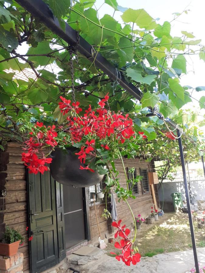 Casa Hariton * Dragus