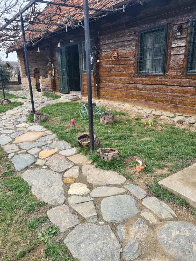Casa Hariton Holiday home Dragus